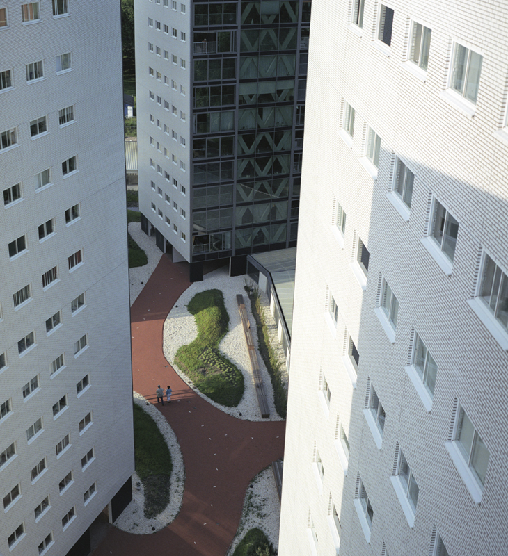 Ein Foto von Petra Stavast